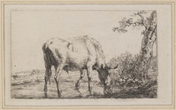 KG 07986
<br/>
Drinkende koe
<br/>
<em>Kobell, Jan Baptist (1778-1814)</em>
